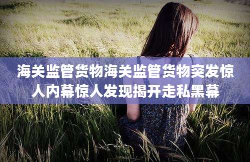 海关监管货物海关监管货物突发惊人内幕惊人发现揭开走私黑幕