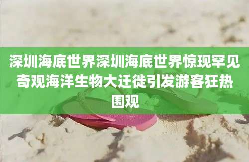 深圳海底世界深圳海底世界惊现罕见奇观海洋生物大迁徙引发游客狂热围观