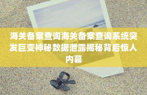 海关备案查询海关备案查询系统突发巨变神秘数据泄露揭秘背后惊人内幕
