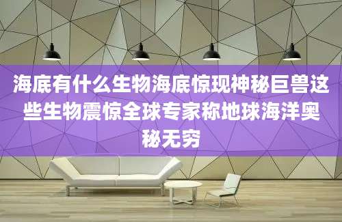 海底有什么生物海底惊现神秘巨兽这些生物震惊全球专家称地球海洋奥秘无穷