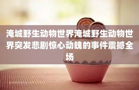 淹城野生动物世界淹城野生动物世界突发悲剧惊心动魄的事件震撼全场