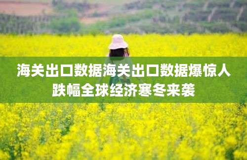 海关出口数据海关出口数据爆惊人跌幅全球经济寒冬来袭