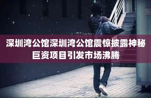 深圳湾公馆深圳湾公馆震惊披露神秘巨资项目引发市场沸腾