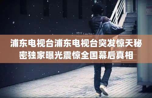 浦东电视台浦东电视台突发惊天秘密独家曝光震惊全国幕后真相