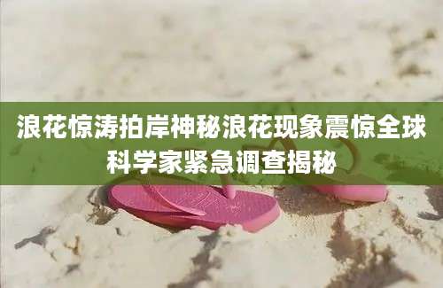 浪花惊涛拍岸神秘浪花现象震惊全球科学家紧急调查揭秘