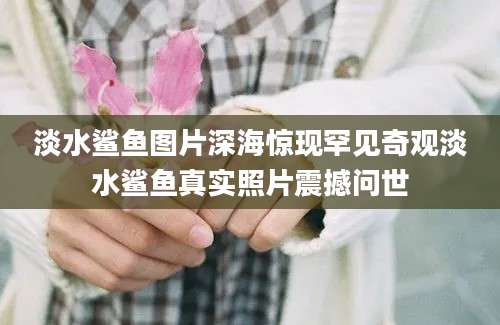 淡水鲨鱼图片深海惊现罕见奇观淡水鲨鱼真实照片震撼问世
