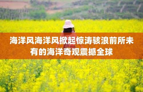 海洋风海洋风掀起惊涛骇浪前所未有的海洋奇观震撼全球