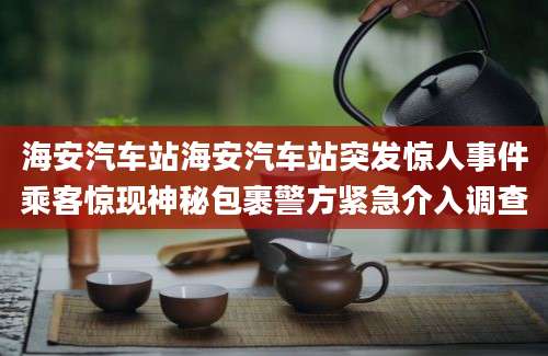 海安汽车站海安汽车站突发惊人事件乘客惊现神秘包裹警方紧急介入调查