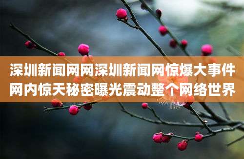 深圳新闻网网深圳新闻网惊爆大事件网内惊天秘密曝光震动整个网络世界