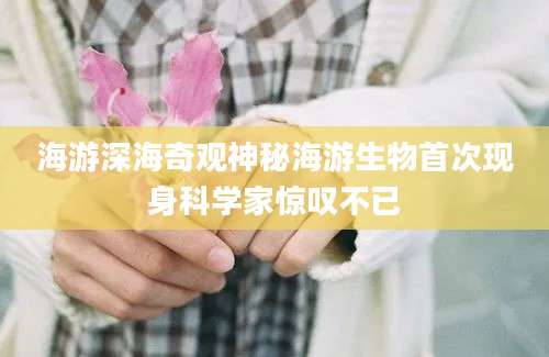 海游深海奇观神秘海游生物首次现身科学家惊叹不已