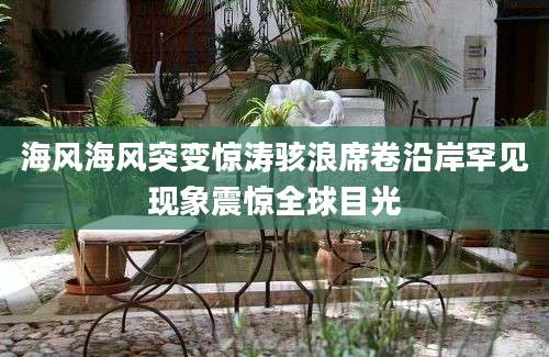 海风海风突变惊涛骇浪席卷沿岸罕见现象震惊全球目光