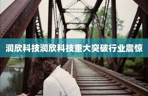 润欣科技润欣科技重大突破行业震惊