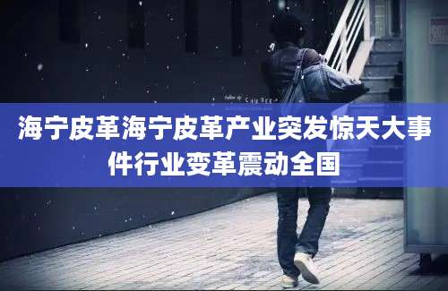 海宁皮革海宁皮革产业突发惊天大事件行业变革震动全国
