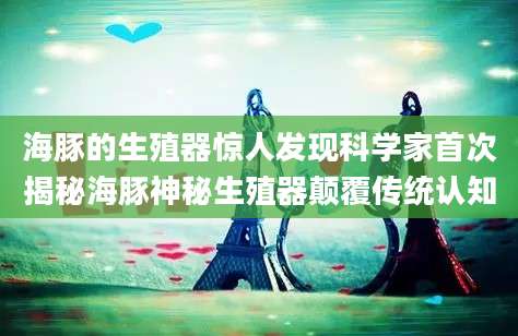 海豚的生殖器惊人发现科学家首次揭秘海豚神秘生殖器颠覆传统认知