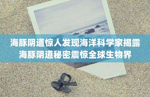 海豚阴道惊人发现海洋科学家揭露海豚阴道秘密震惊全球生物界