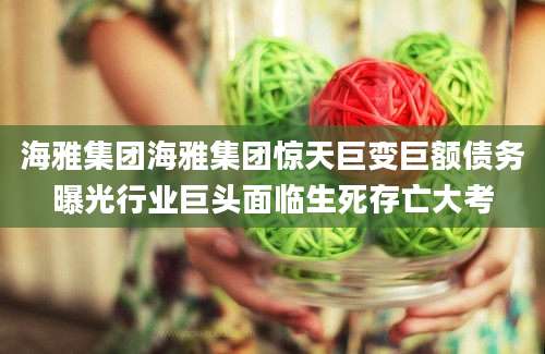 海雅集团海雅集团惊天巨变巨额债务曝光行业巨头面临生死存亡大考