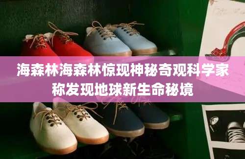 海森林海森林惊现神秘奇观科学家称发现地球新生命秘境