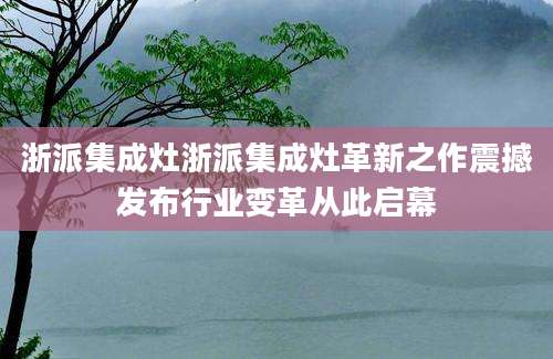 浙派集成灶浙派集成灶革新之作震撼发布行业变革从此启幕