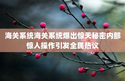 海关系统海关系统爆出惊天秘密内部惊人操作引发全民热议