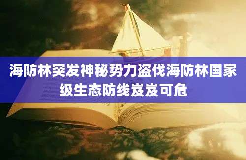 海防林突发神秘势力盗伐海防林国家级生态防线岌岌可危