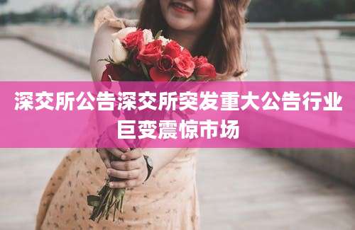 深交所公告深交所突发重大公告行业巨变震惊市场