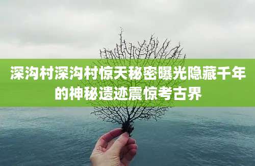 深沟村深沟村惊天秘密曝光隐藏千年的神秘遗迹震惊考古界