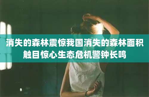 消失的森林震惊我国消失的森林面积触目惊心生态危机警钟长鸣