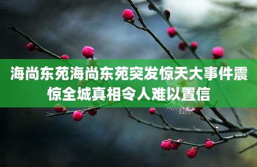 海尚东苑海尚东苑突发惊天大事件震惊全城真相令人难以置信