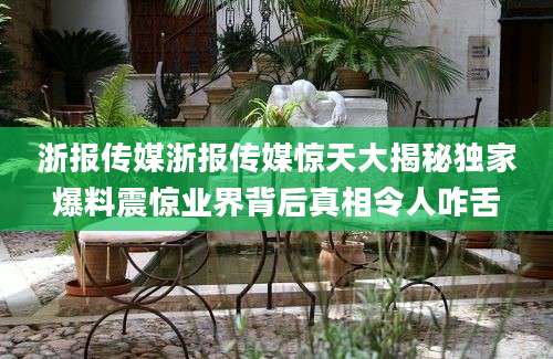 浙报传媒浙报传媒惊天大揭秘独家爆料震惊业界背后真相令人咋舌