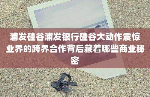 浦发硅谷浦发银行硅谷大动作震惊业界的跨界合作背后藏着哪些商业秘密