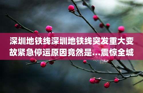 深圳地铁线深圳地铁线突发重大变故紧急停运原因竟然是...震惊全城