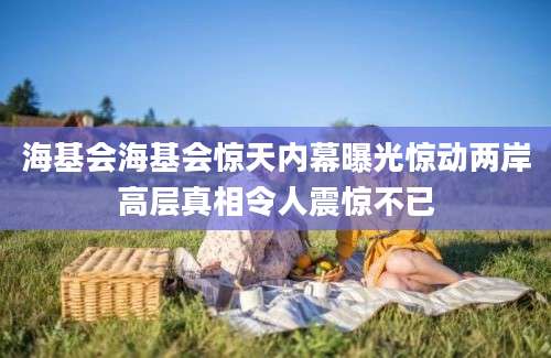 海基会海基会惊天内幕曝光惊动两岸高层真相令人震惊不已