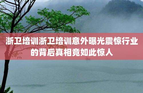 浙卫培训浙卫培训意外曝光震惊行业的背后真相竟如此惊人