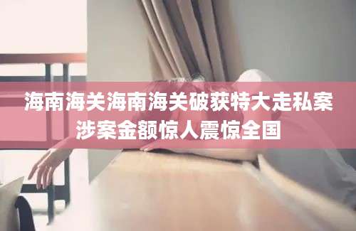 海南海关海南海关破获特大走私案涉案金额惊人震惊全国