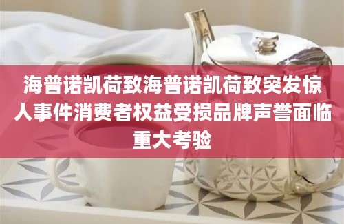 海普诺凯荷致海普诺凯荷致突发惊人事件消费者权益受损品牌声誉面临重大考验