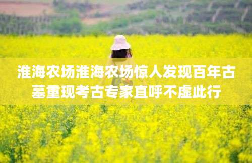 淮海农场淮海农场惊人发现百年古墓重现考古专家直呼不虚此行
