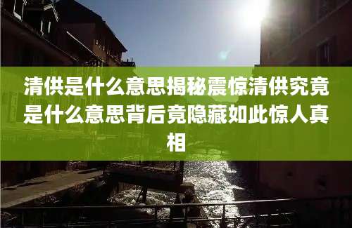 清供是什么意思揭秘震惊清供究竟是什么意思背后竟隐藏如此惊人真相
