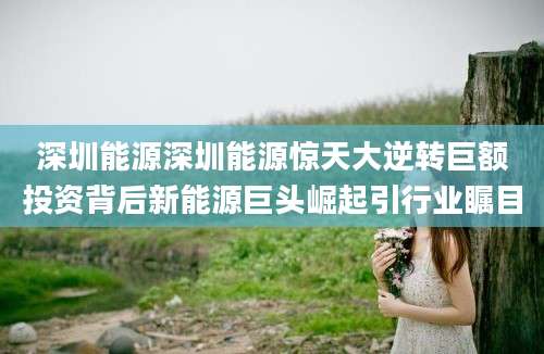 深圳能源深圳能源惊天大逆转巨额投资背后新能源巨头崛起引行业瞩目