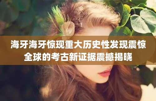 海牙海牙惊现重大历史性发现震惊全球的考古新证据震撼揭晓