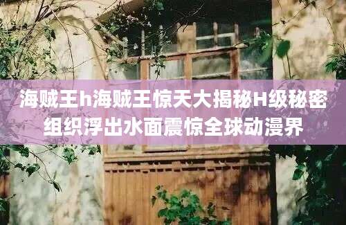 海贼王h海贼王惊天大揭秘H级秘密组织浮出水面震惊全球动漫界