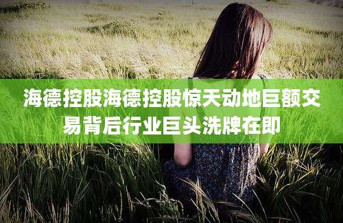 海德控股海德控股惊天动地巨额交易背后行业巨头洗牌在即