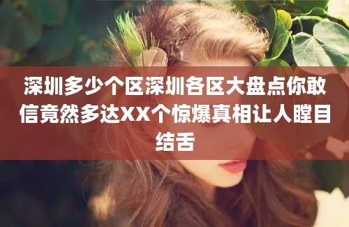 深圳多少个区深圳各区大盘点你敢信竟然多达XX个惊爆真相让人瞠目结舌