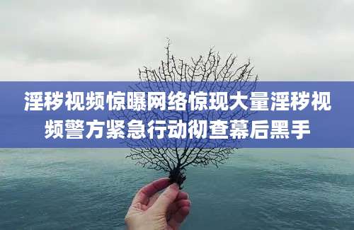 淫秽视频惊曝网络惊现大量淫秽视频警方紧急行动彻查幕后黑手