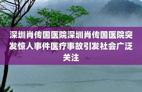 深圳肖传国医院深圳肖传国医院突发惊人事件医疗事故引发社会广泛关注