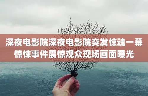 深夜电影院深夜电影院突发惊魂一幕惊悚事件震惊观众现场画面曝光