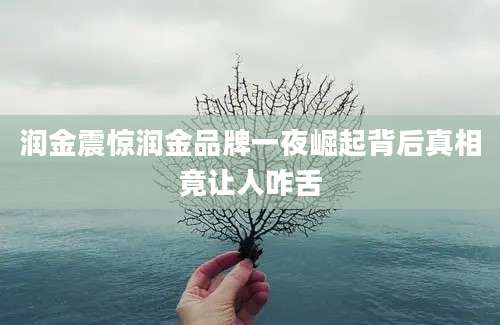 润金震惊润金品牌一夜崛起背后真相竟让人咋舌