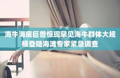 海牛海底巨兽惊现罕见海牛群体大规模登陆海滩专家紧急调查