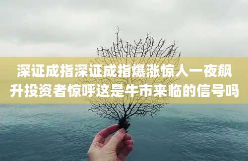 深证成指深证成指爆涨惊人一夜飙升投资者惊呼这是牛市来临的信号吗