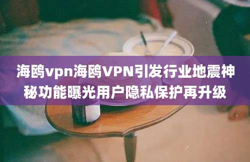 海鸥vpn海鸥VPN引发行业地震神秘功能曝光用户隐私保护再升级