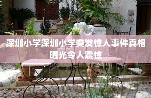 深圳小学深圳小学突发惊人事件真相曝光令人震惊